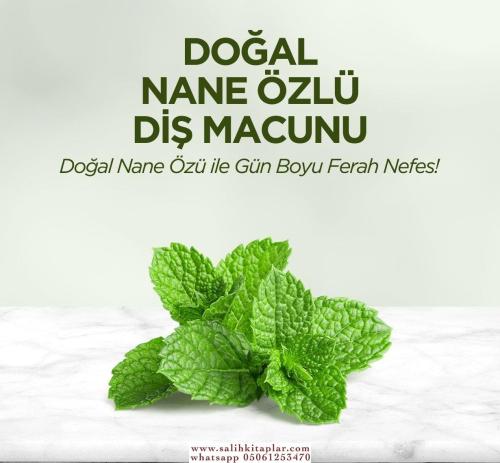 Doğal Nane Özlü Diş Macunu 90 ml- Eyüp Sabri Tuncer