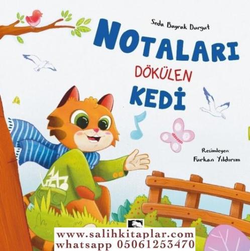 Notaları Dökülen Kedi Nurcan Yıldırım